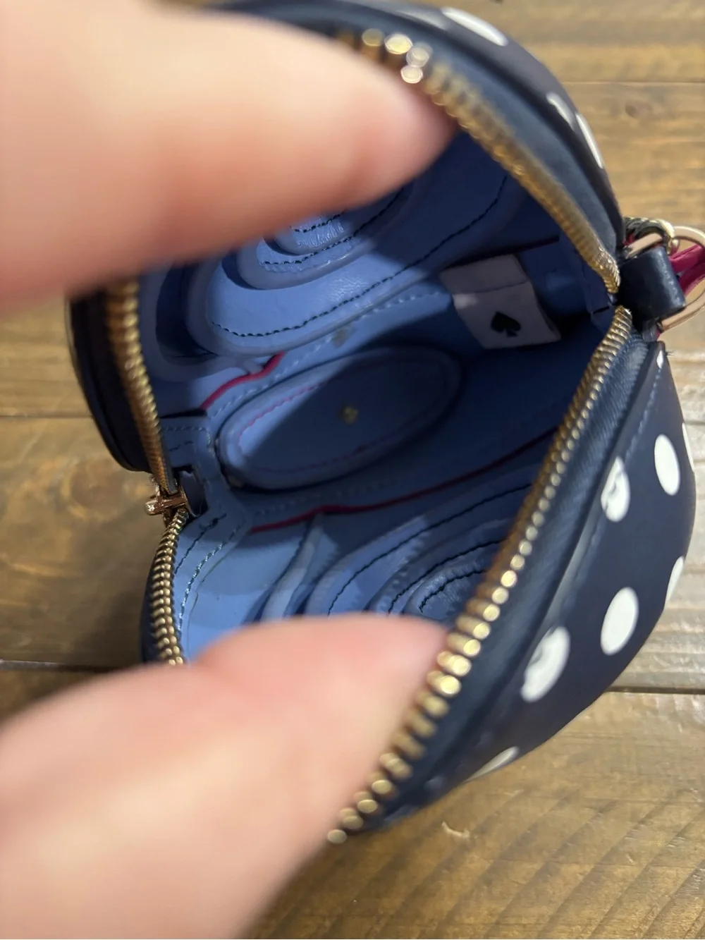 Kate Spade Dotty Snail Coin Purse